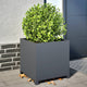 Boîte de planification Vidaxl 50x50x50 cm anthracite en acier -colore