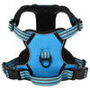 Harnais de chien vidaxl avec ceinture et collier réglable m bleu