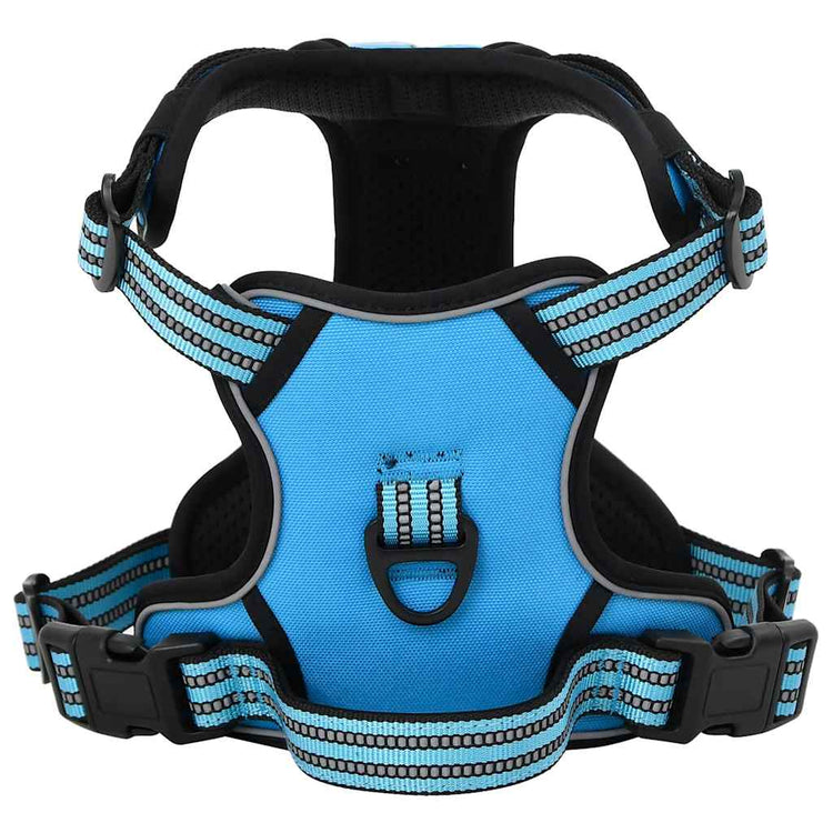Vidaxl Dog Rig avec ceinture et collier réglable xl bleu