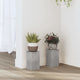 La plantation de Vidaxl comprend 2 PCS 10x10x18 cm