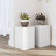 Normes de plante vidaxl 2 ST 20x20x30 cm Bois de blanc transformé