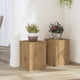Vidaxx porte-plantes 2 pcs 25x25x35 cm bois chêne artisanal