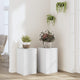 Normes de plante vidaxl 2 ST 30x30x50 cm Bois de bois transformé