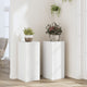 La plantation de Vidaxl comprend 2 pcs 30x30x70 cm en bois blanc