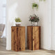 VidaXL support pour plantes 2 pcs 30x30x70 cm bois traité, couleur bois ancien