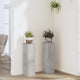 La plantation de Vidaxl comprend 2 pcs 17x17x60 cm
