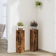 Vidaxx supports pour plantes 2 pcs 17x17x60 cm bois traité chêne fumé