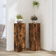 Normes de l'usine Vidaxl 2 ST 25x25x80 cm chêne fumé en bois transformé
