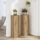 VidaXL supports pour plantes 2 pcs 25x25x80 cm bois chêne artisanal coloré