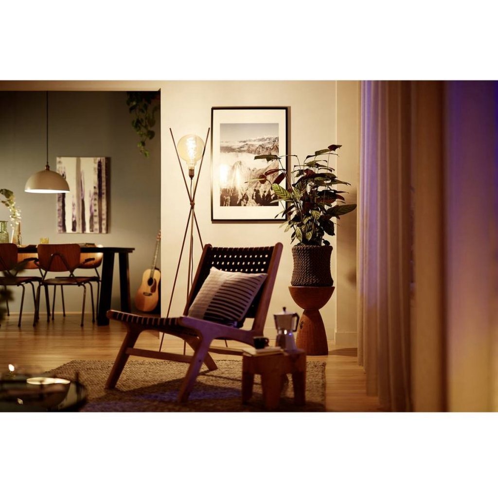 Philips vintage LED globe dimmable G95 E27 60W verre ambré