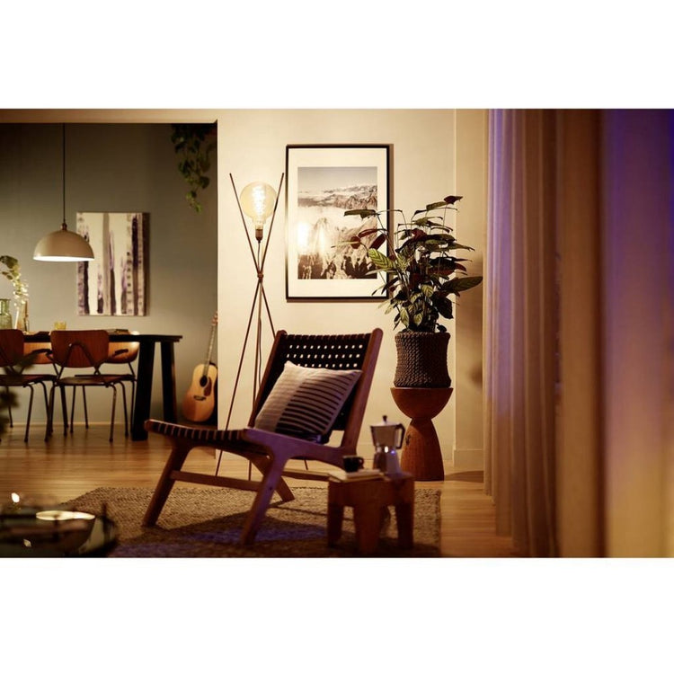 Philips vintage LED globe dimmable G95 E27 60W verre ambré