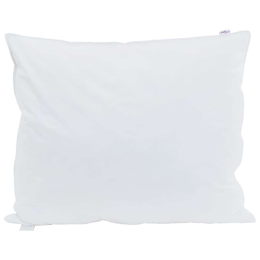 VidaXL oreiller avec coussin blanc 60 x 70 cm plumes