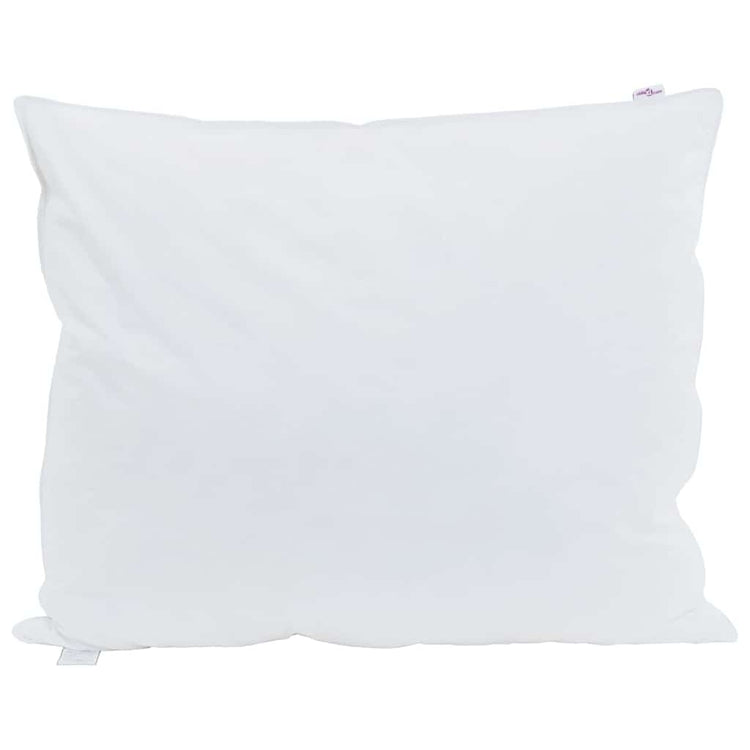 VidaXL oreiller avec coussin blanc 60 x 70 cm plumes