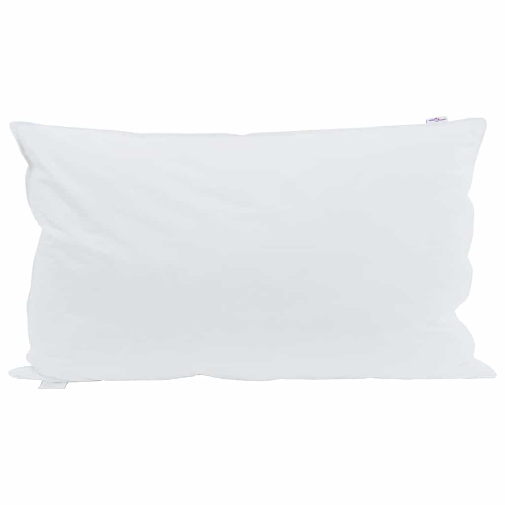 Vidaxxl oreiller avec coussin 2 pcs blanc 40 x 80 cm plumes