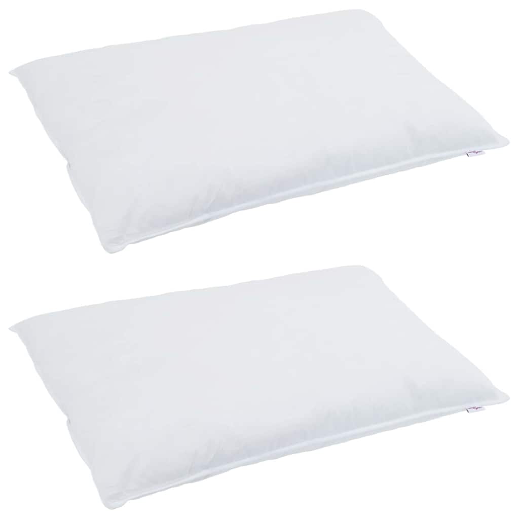 Vidaxxl oreiller avec coussin 2 pcs blanc 40 x 80 cm plumes
