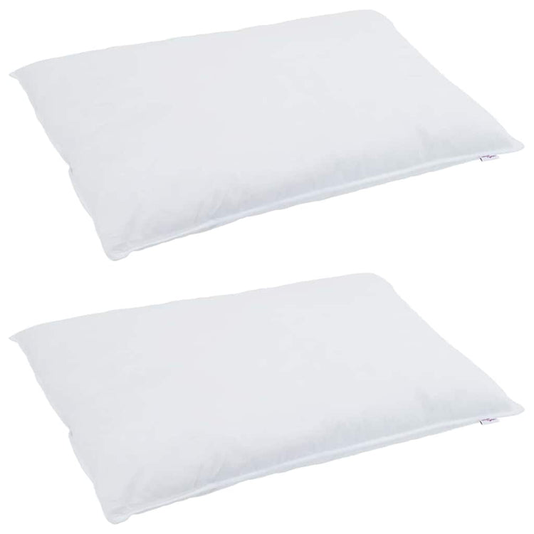 Vidaxxl oreiller avec coussin 2 pcs blanc 40 x 80 cm plumes