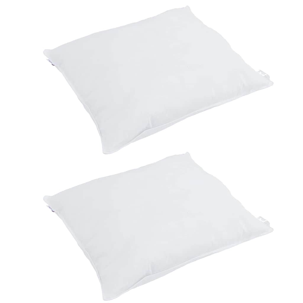 Vidaxxl oreiller avec coussin 2 pcs blanc 60 x 60 cm plumes