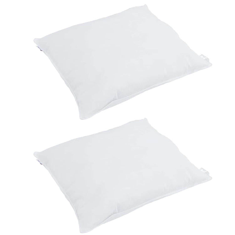 Vidaxxl oreiller avec coussin 2 pcs blanc 65 x 65 cm plumes