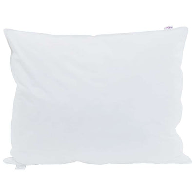 Vidaxxl oreiller avec coussin 2 pcs blanc 60 x 80 cm plumes