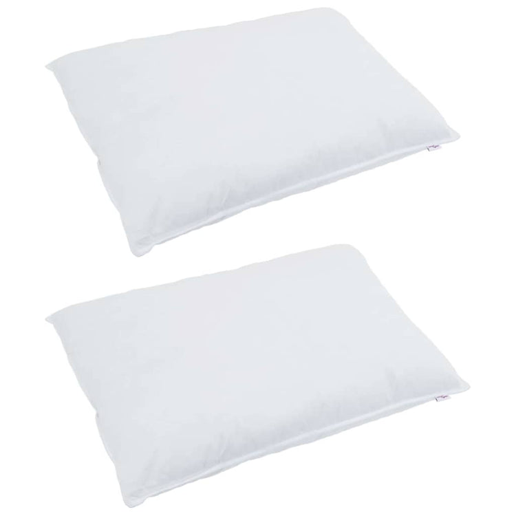 Vidaxxl oreiller avec coussin 2 pcs blanc 60 x 80 cm plumes