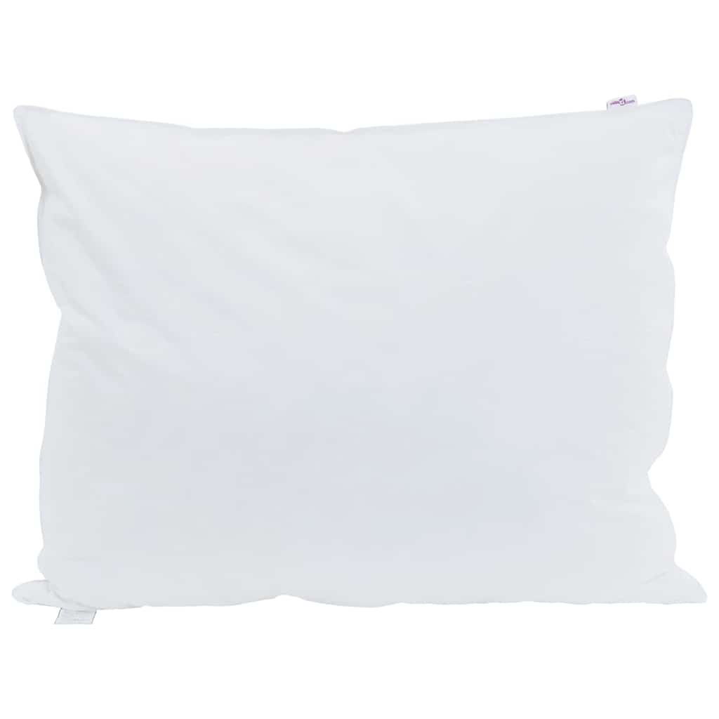 Vidaxxl oreiller avec coussin 2 pcs blanc 70 x 90 cm plumes