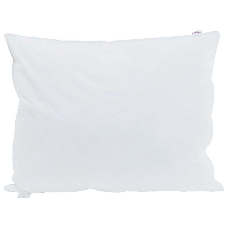 Vidaxxl oreiller avec coussin 2 pcs blanc 70 x 90 cm plumes