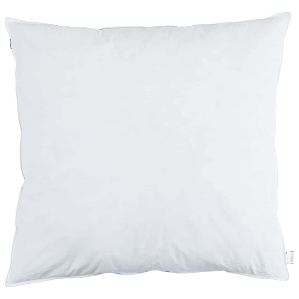VidaXL oreiller avec coussin 2 pcs blanc 80 x 80 cm plumes