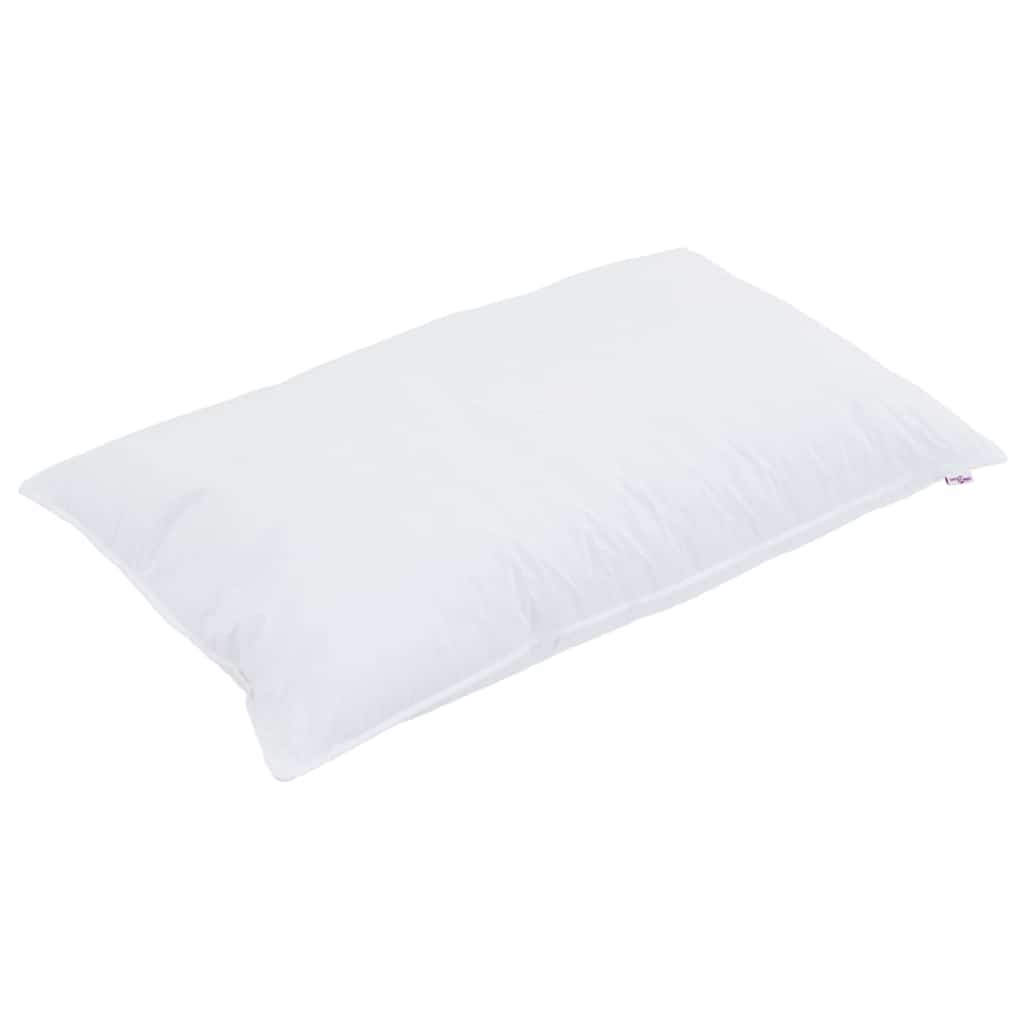 VidaXL oreiller avec coussin blanc 40 x 80 cm coton