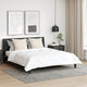 Vidaxxl oreiller avec coussin 2 pcs blanc 80 x 80 cm coton