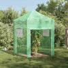 VidaXL serre avec cadre pop-up avec toit vert 200 x 200 x 300 cm fer