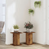Vidaxx supports pour plantes 2 pcs 30x30x40 cm bois traité, couleur bois ancien