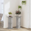 La plantation de Vidaxl comprend 2 PCS 30x30x60 cm