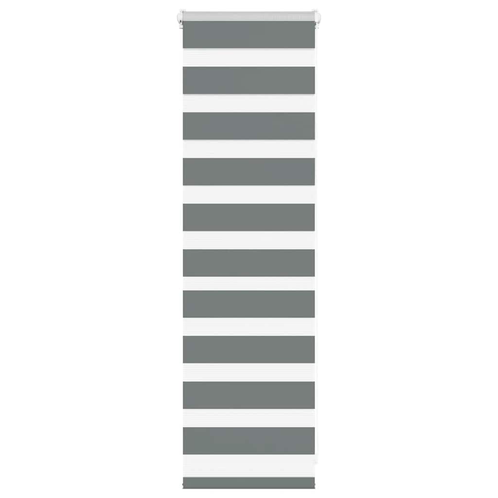 Vidaxl Zebra Rouleau aveugle 40x100 cm Largeur de poussière 35,9 cm Gris foncé