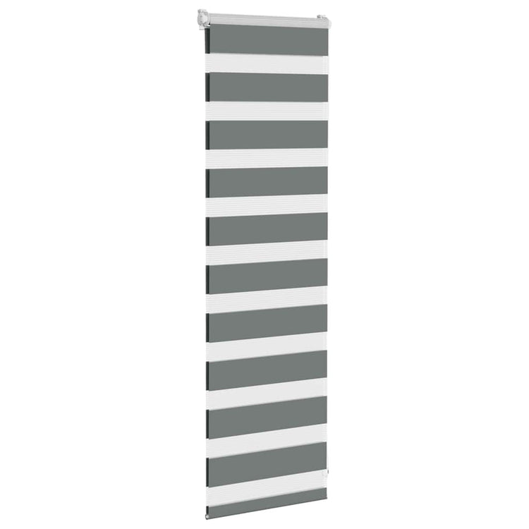 Vidaxl Zebra Rouleau aveugle 40x100 cm Largeur de poussière 35,9 cm Gris foncé