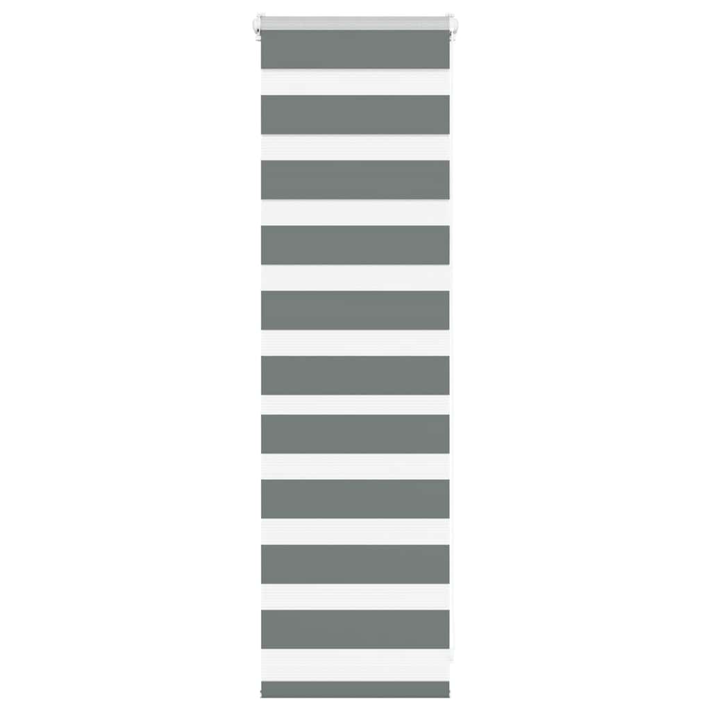 Vidaxl Zebra Rouleau aveugle 45x100 cm Largeur de poussière 40,9 cm Gris foncé