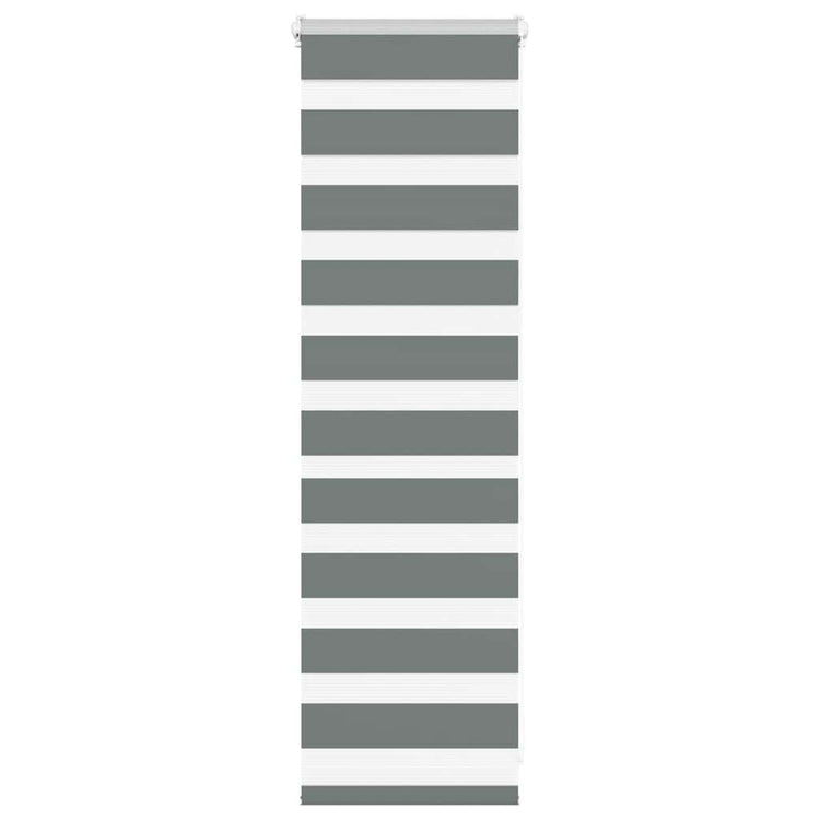Vidaxl Zebra Rouleau aveugle 45x100 cm Largeur de poussière 40,9 cm Gris foncé