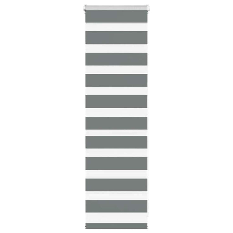 Vidaxl Zebra Rouleau aveugle 50x100 cm Largeur de tissu 45,9 cm gris foncé