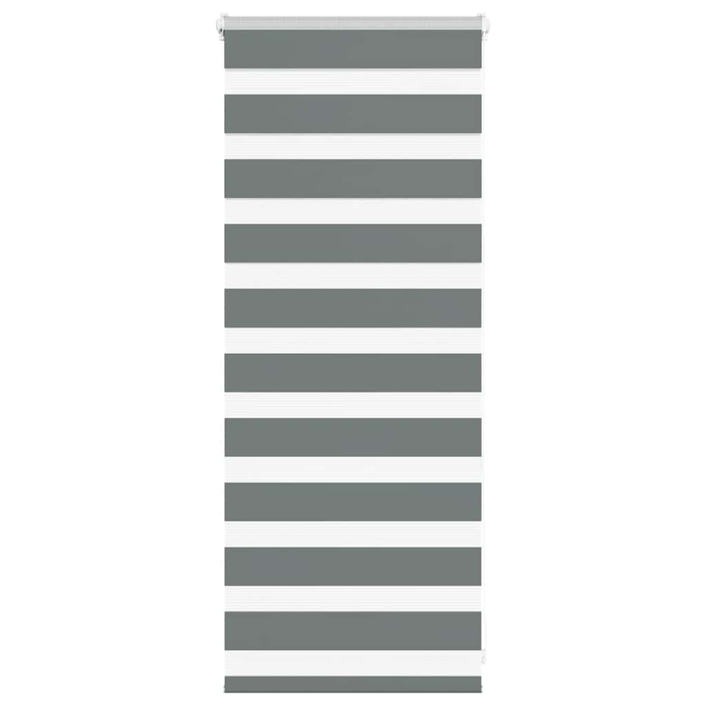 Vidaxl Zebra Rouleau aveugle 55x100 cm Largeur de poussière 50,9 cm gris foncé