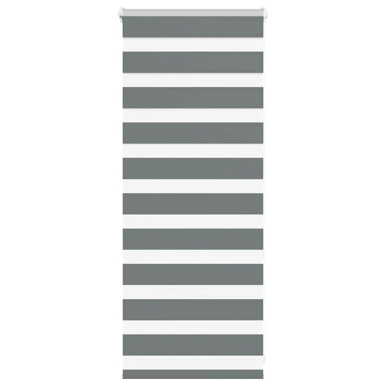 Vidaxl Zebra Rouleau aveugle 55x100 cm Largeur de poussière 50,9 cm gris foncé