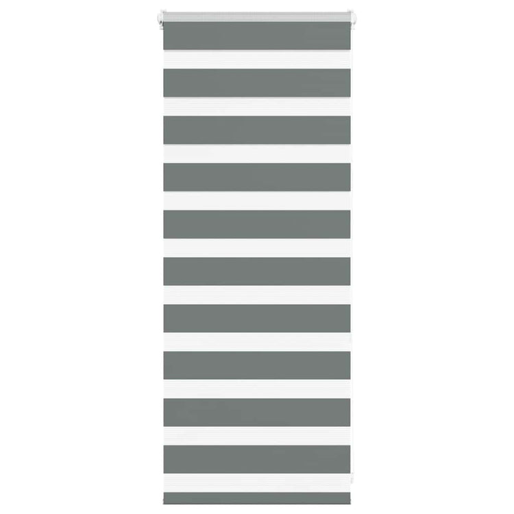 Vidaxl Zebra Rouleau aveugle 60x100 cm Largeur de poussière Gris foncé 55,9 cm