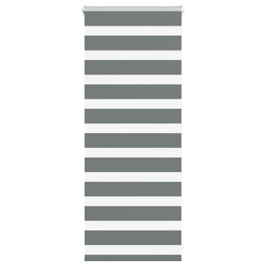 Vidaxl Zebra Rouleau aveugle 65x100 cm Largeur de tissu 60,9 cm Gris foncé