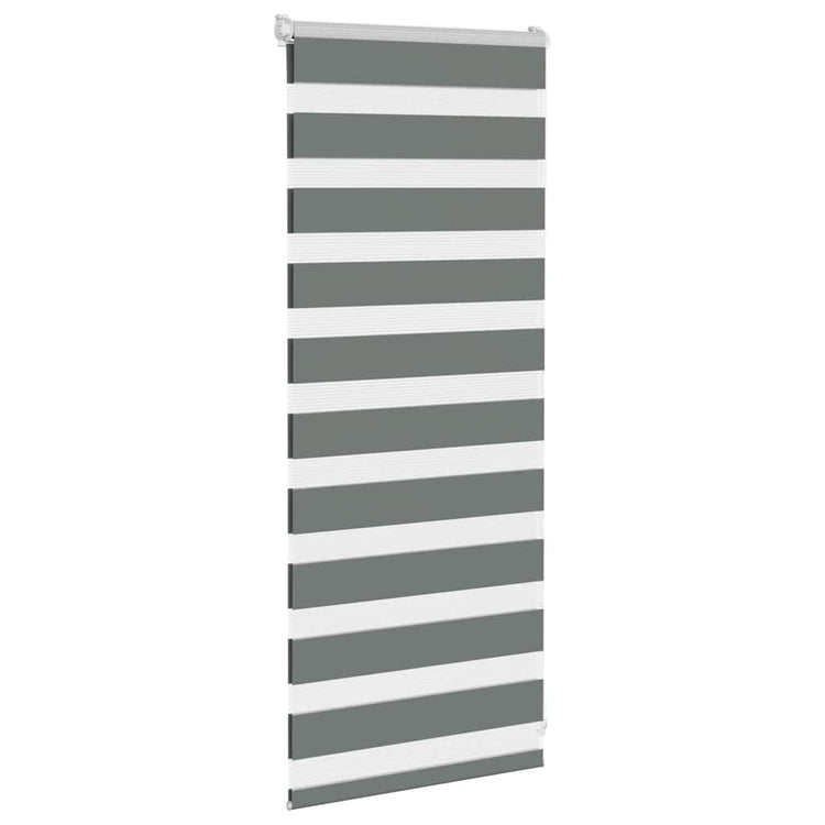 Vidaxl Zebra Rouleau aveugle 65x100 cm Largeur de tissu 60,9 cm Gris foncé