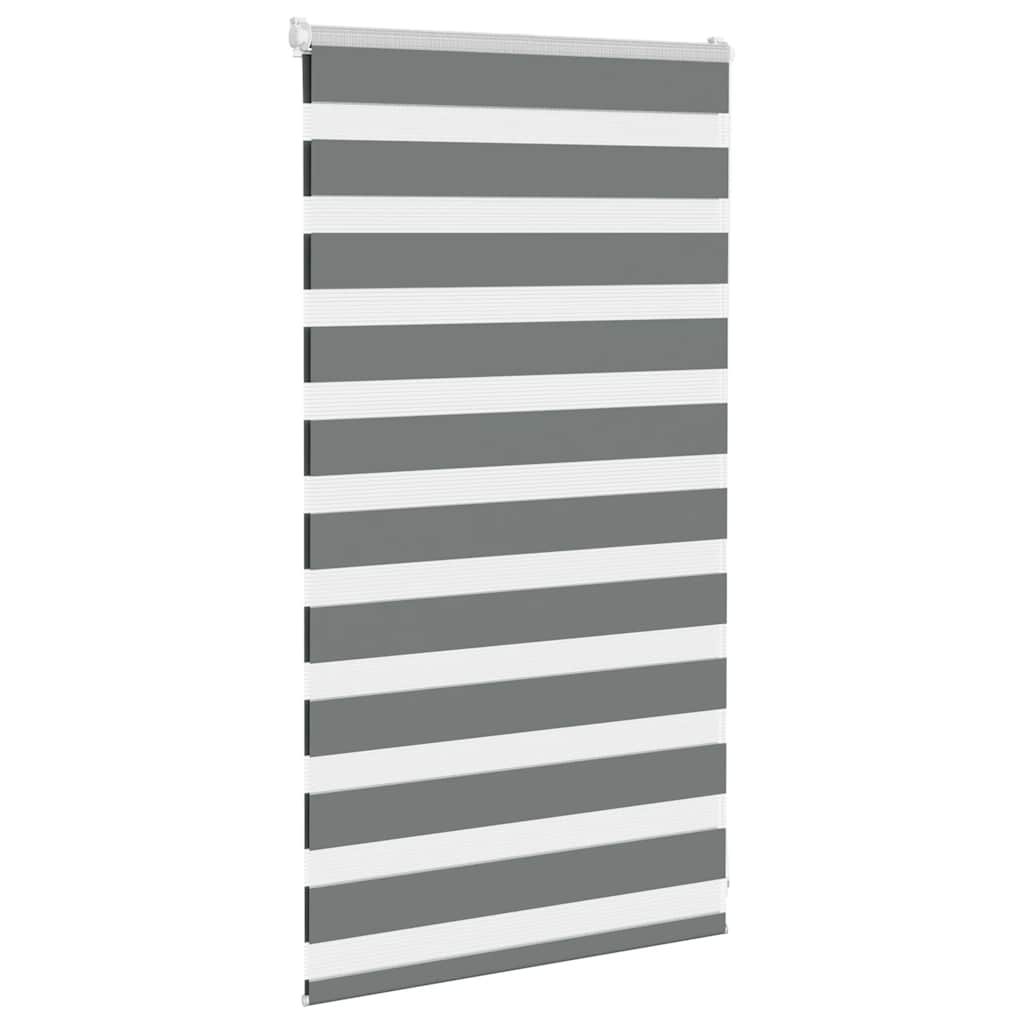 Vidaxl Zebra Rouleau aveugle 75x100 cm Largeur de tissu 70,9 cm gris foncé