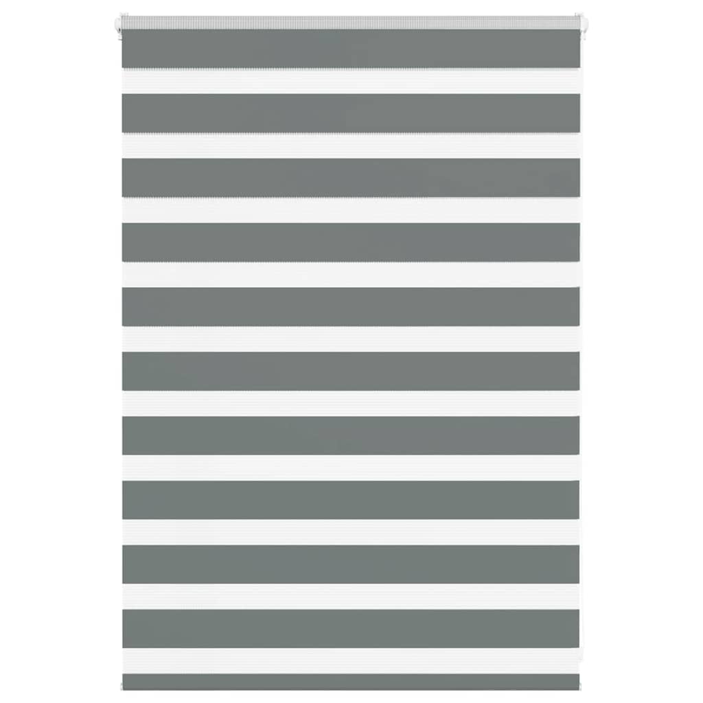 Vidaxl Zebra Rouleau aveugle 100x100 cm Largeur de poussière 95,9 cm gris foncé