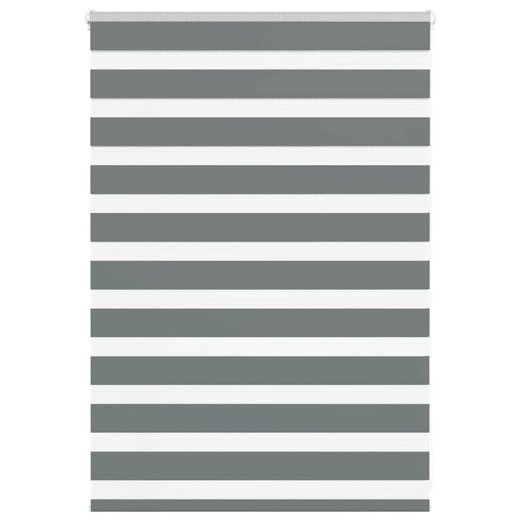 Vidaxl Zebra Rouleau aveugle 100x100 cm Largeur de poussière 95,9 cm gris foncé