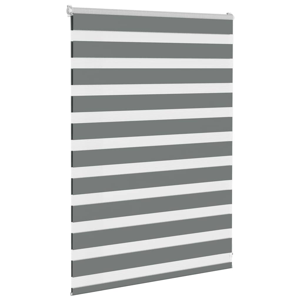Vidaxl Zebra Rouleau aveugle 100x100 cm Largeur de poussière 95,9 cm gris foncé