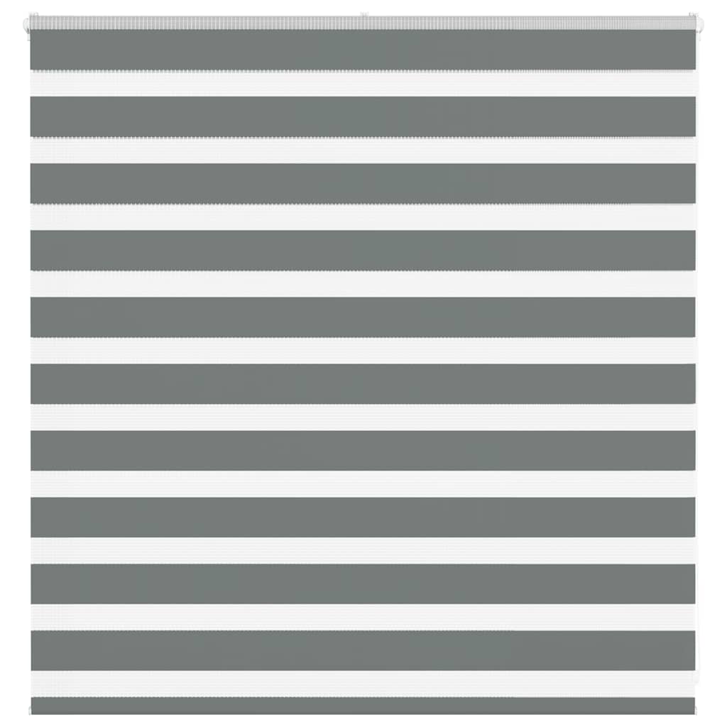 Vidaxl Zebra Rouleau aveugle 140x100 cm Largeur de poussière 135,9 cm Gris foncé