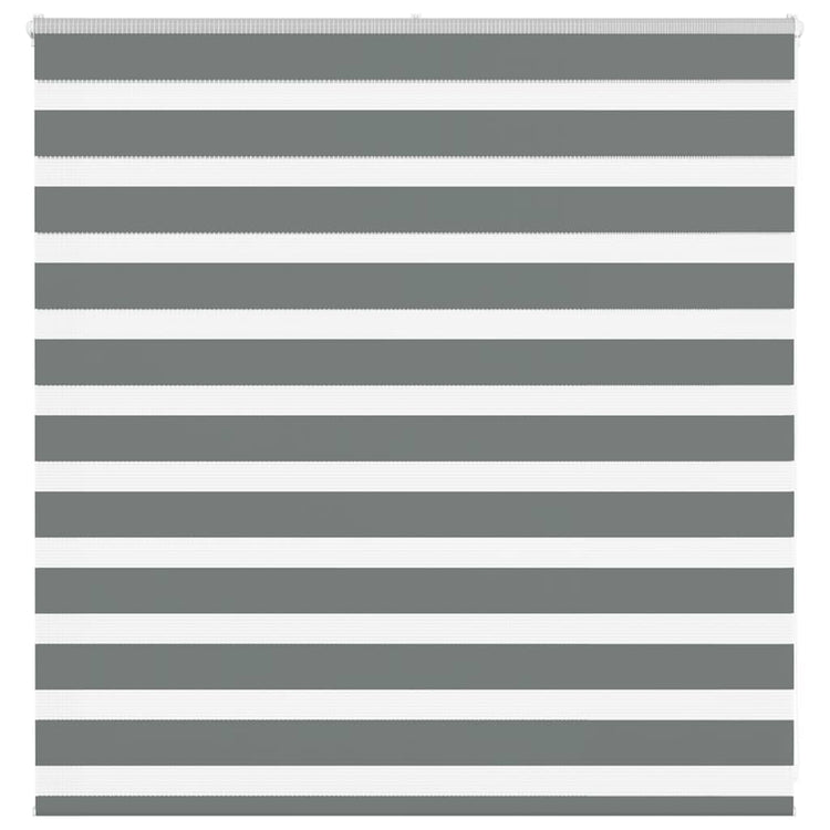 Vidaxl Zebra Rouleau aveugle 140x100 cm Largeur de poussière 135,9 cm Gris foncé