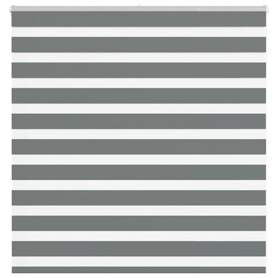 Vidaxl Zebra Rouleau aveugle 150x100 cm Largeur de poussière 145,9 cm Gris foncé