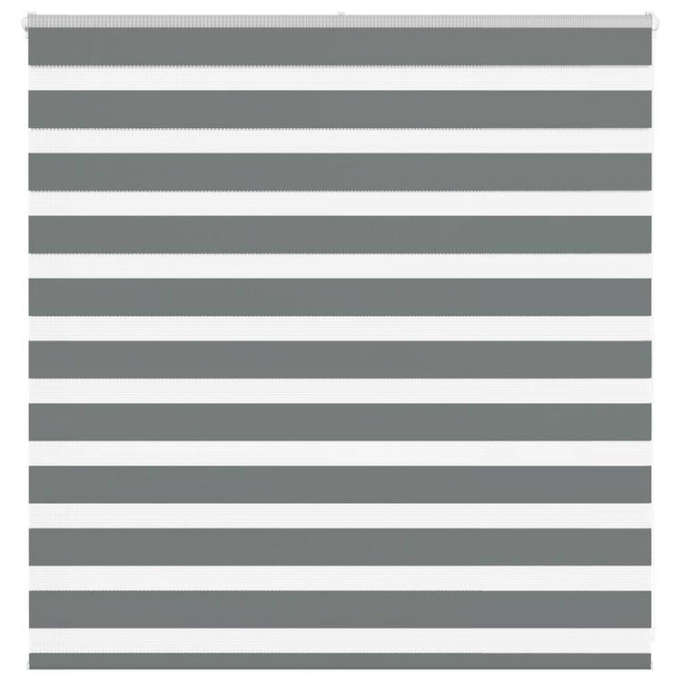 Vidaxl Zebra Rouleau aveugle 150x100 cm Largeur de poussière 145,9 cm Gris foncé